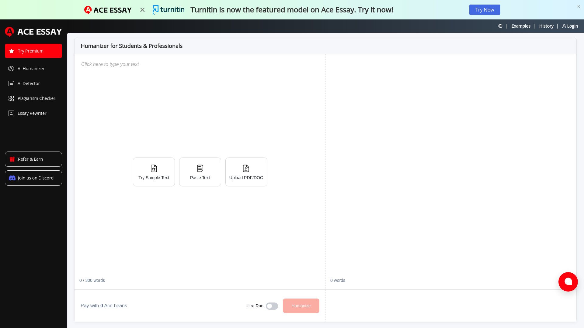image of Aceessay.AI