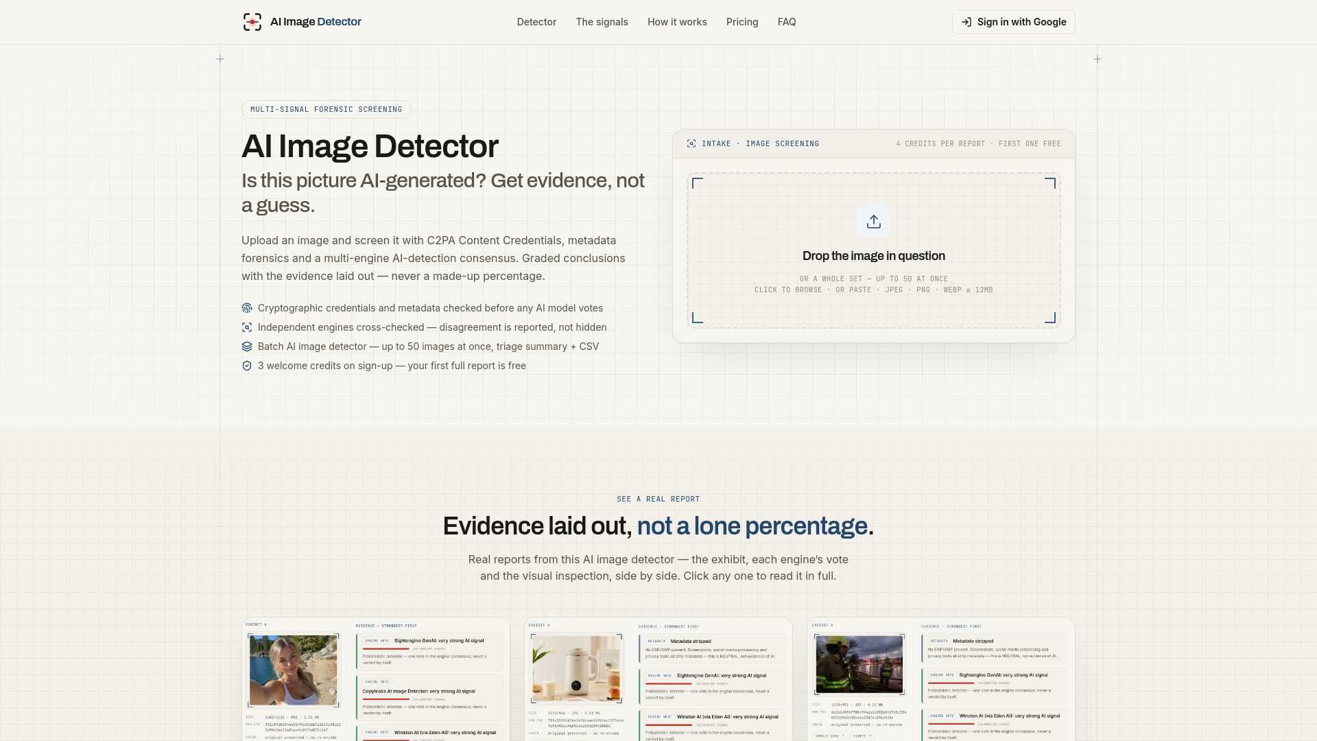 image of AI Image Detector -1