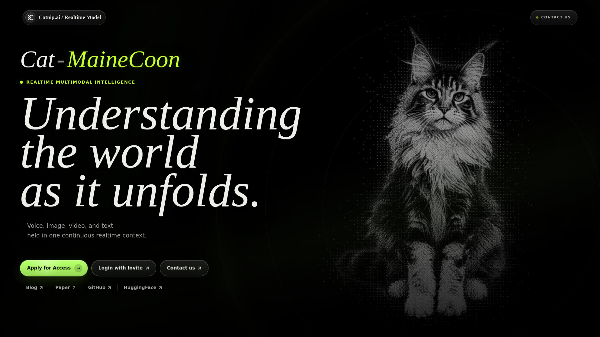 image of MaineCoon AI
