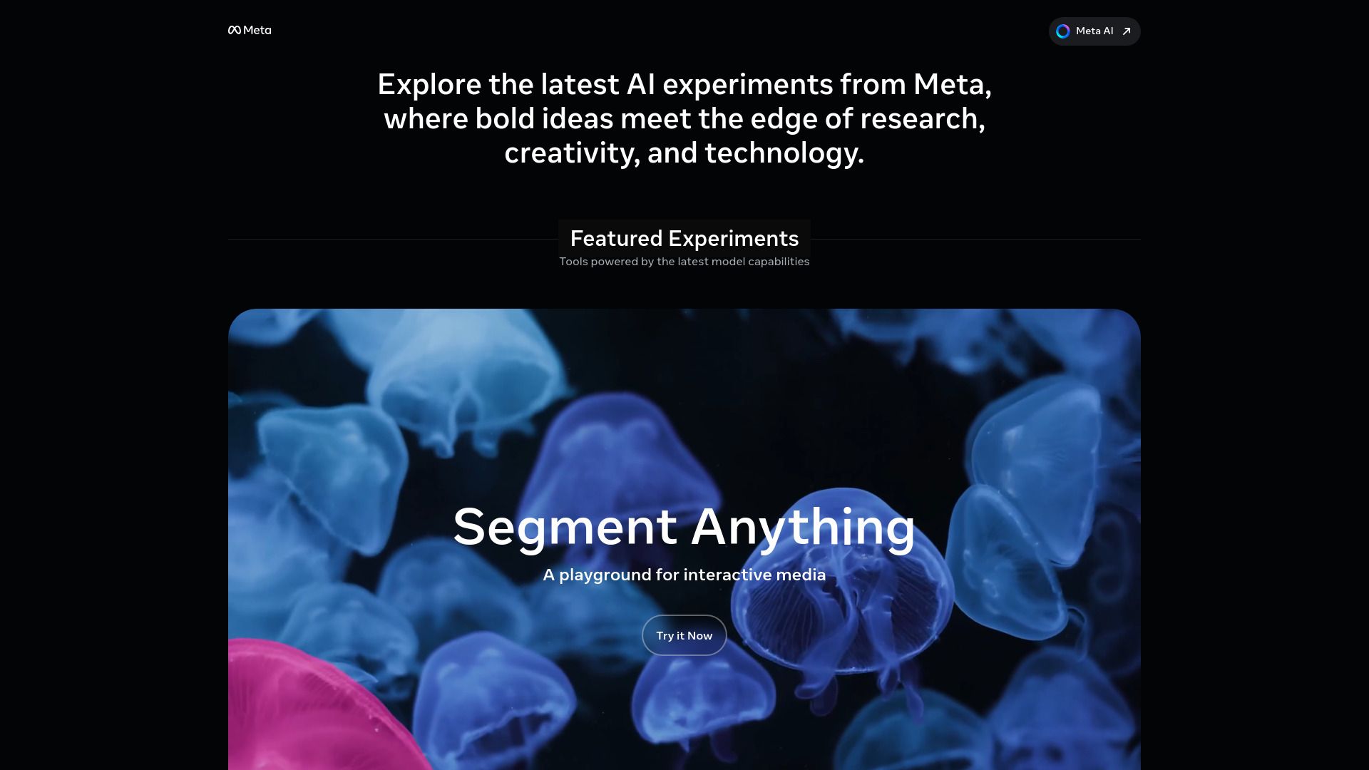 image of Meta AI Demos