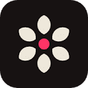 icon of Molyin