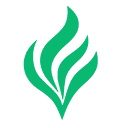 icon of Northlight