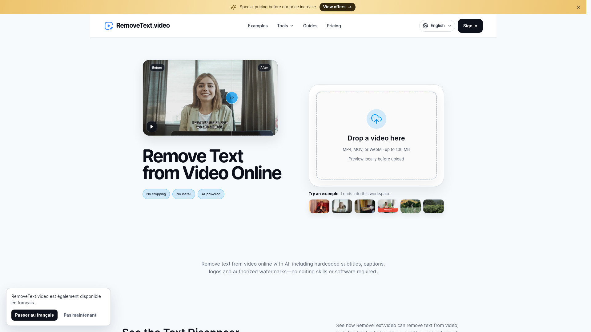 image of RemoveText.video