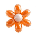 icon of Retro Camera