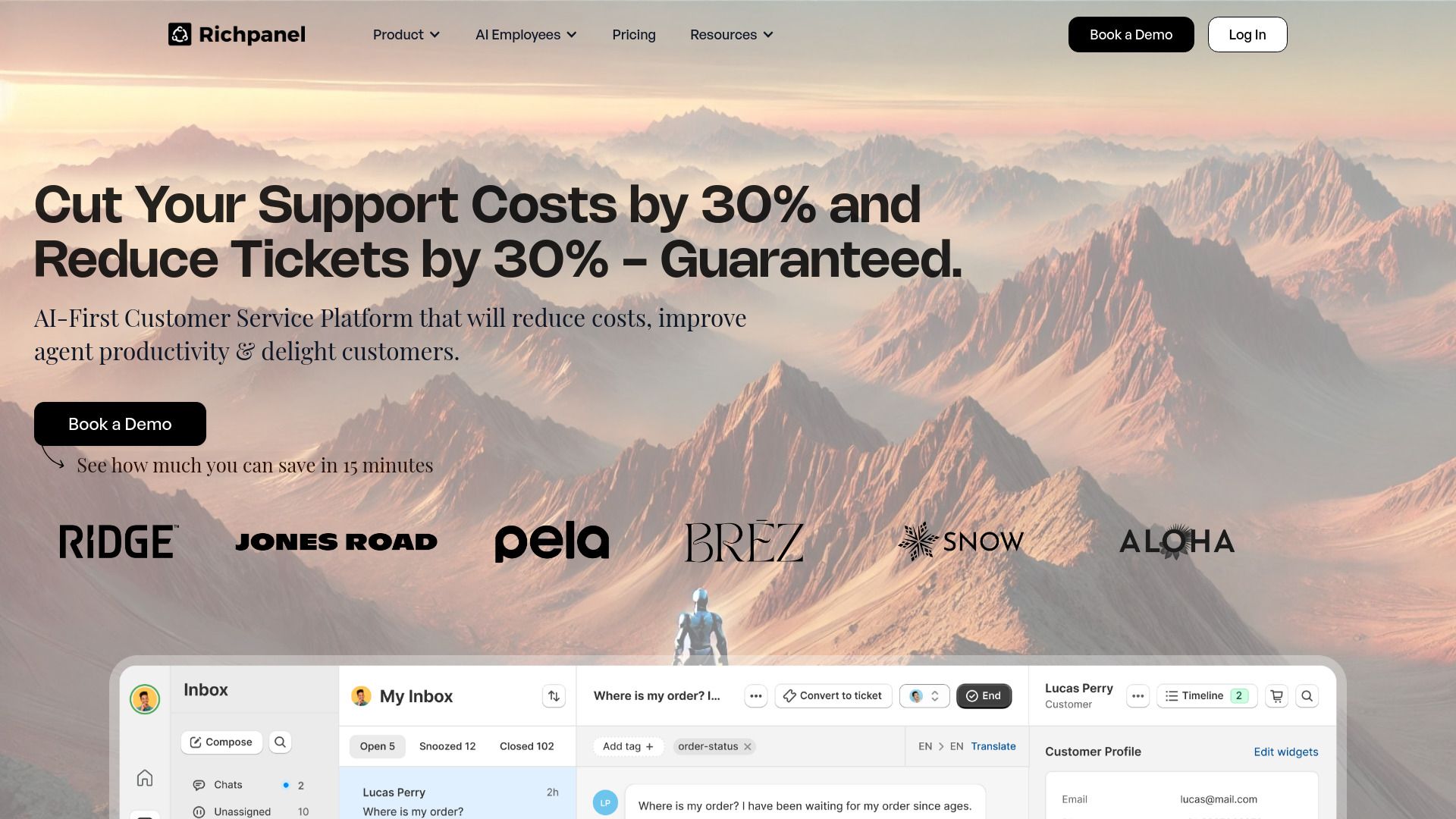 Screenshot of Richpanel Screenshot of Richpanel