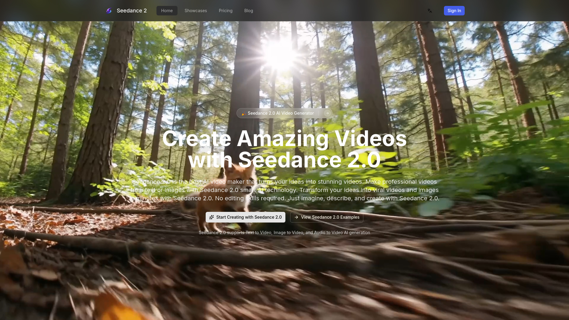 image of Seedance 2.0-8