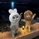 icon of Seedance2 - AI Video Generator