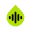 icon of soink