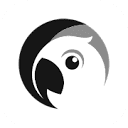 icon of tonvio