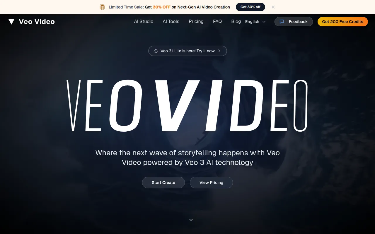 image of Veo Video