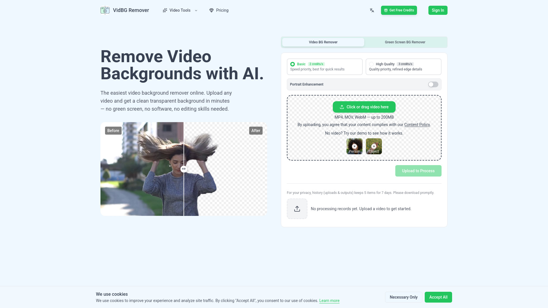 image of VidBG Remover