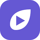 icon of Vidleaf