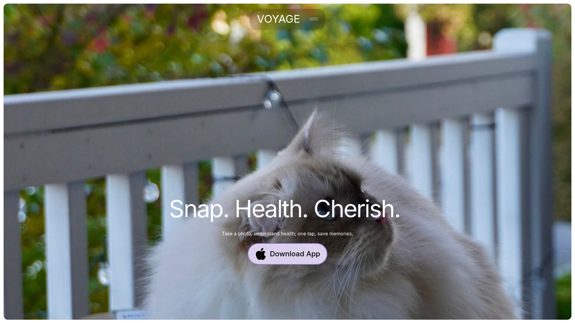image of Voyage Pet AI